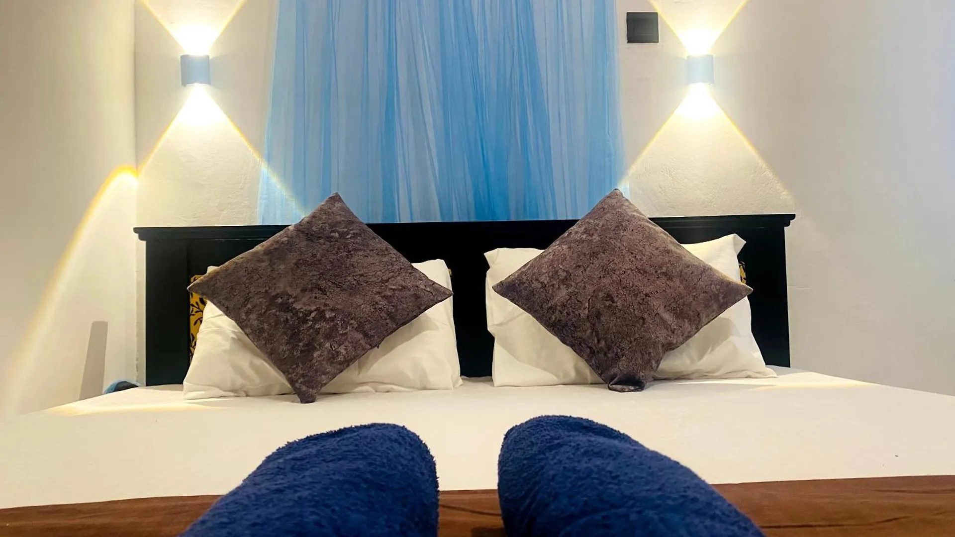 Fly Infinity - Home Stay Kandy 0*,