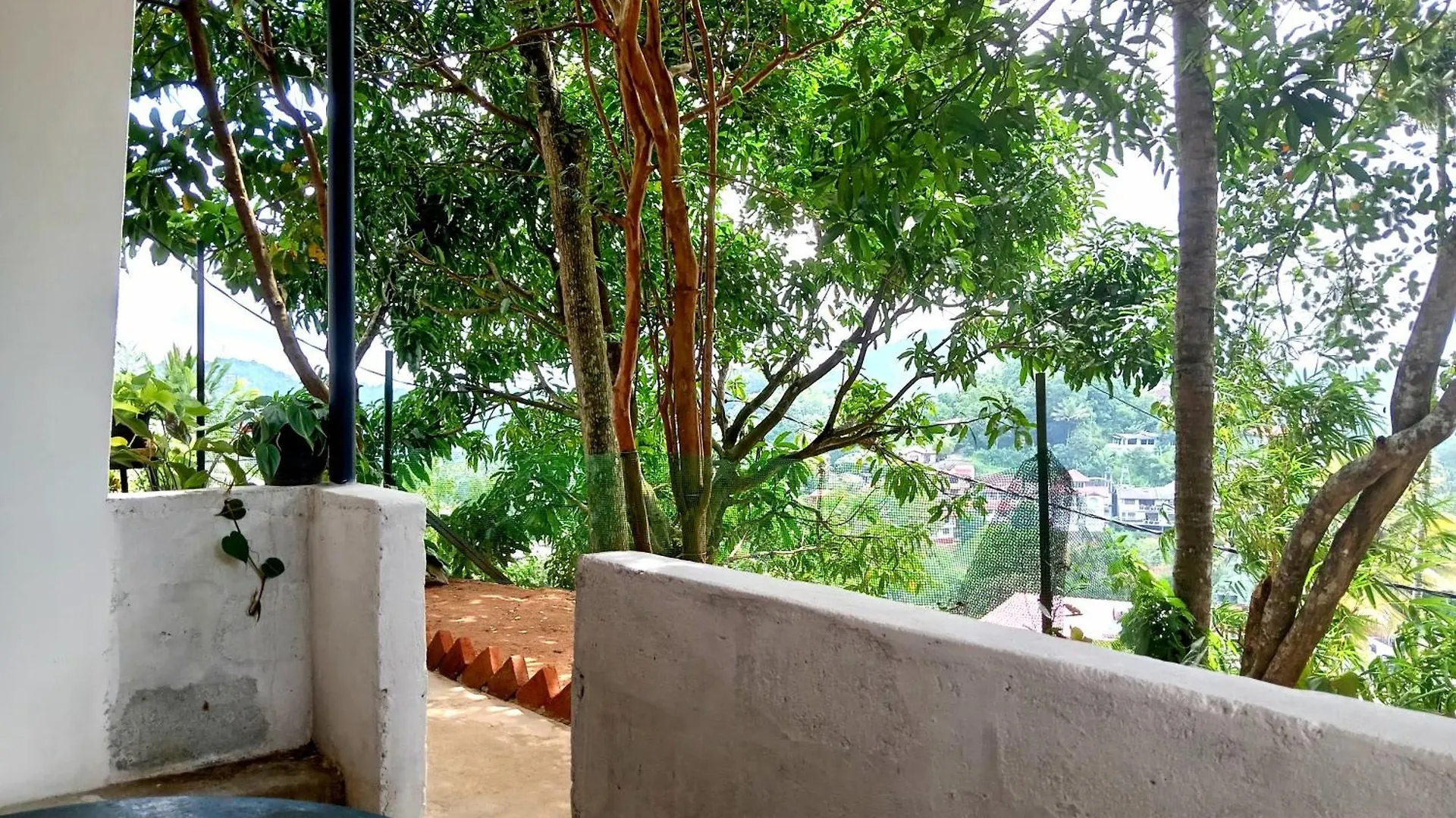 Fly Infinity - Home Stay Kandy Homestay