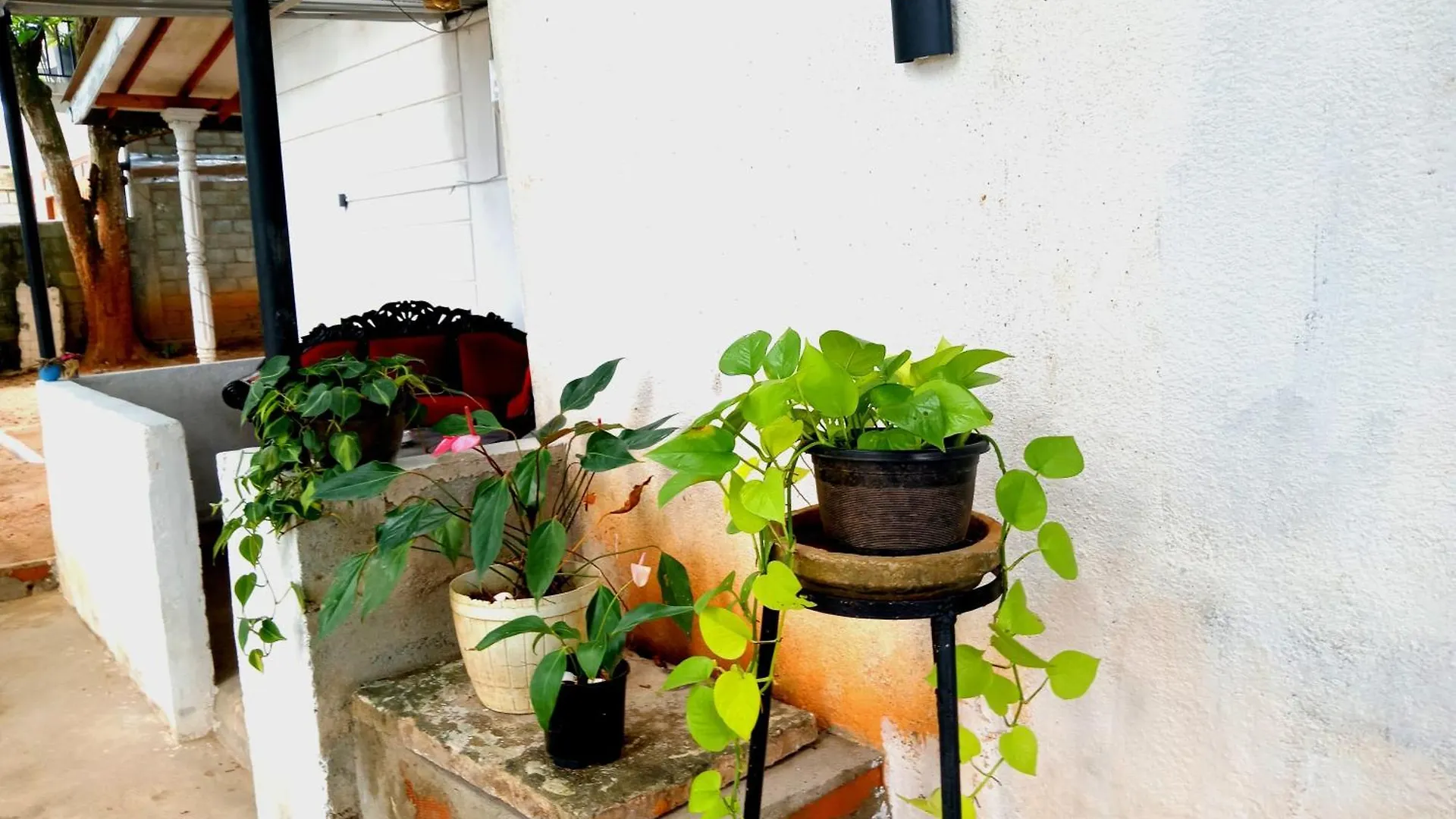Homestay Fly Infinity - Home Stay Kandy