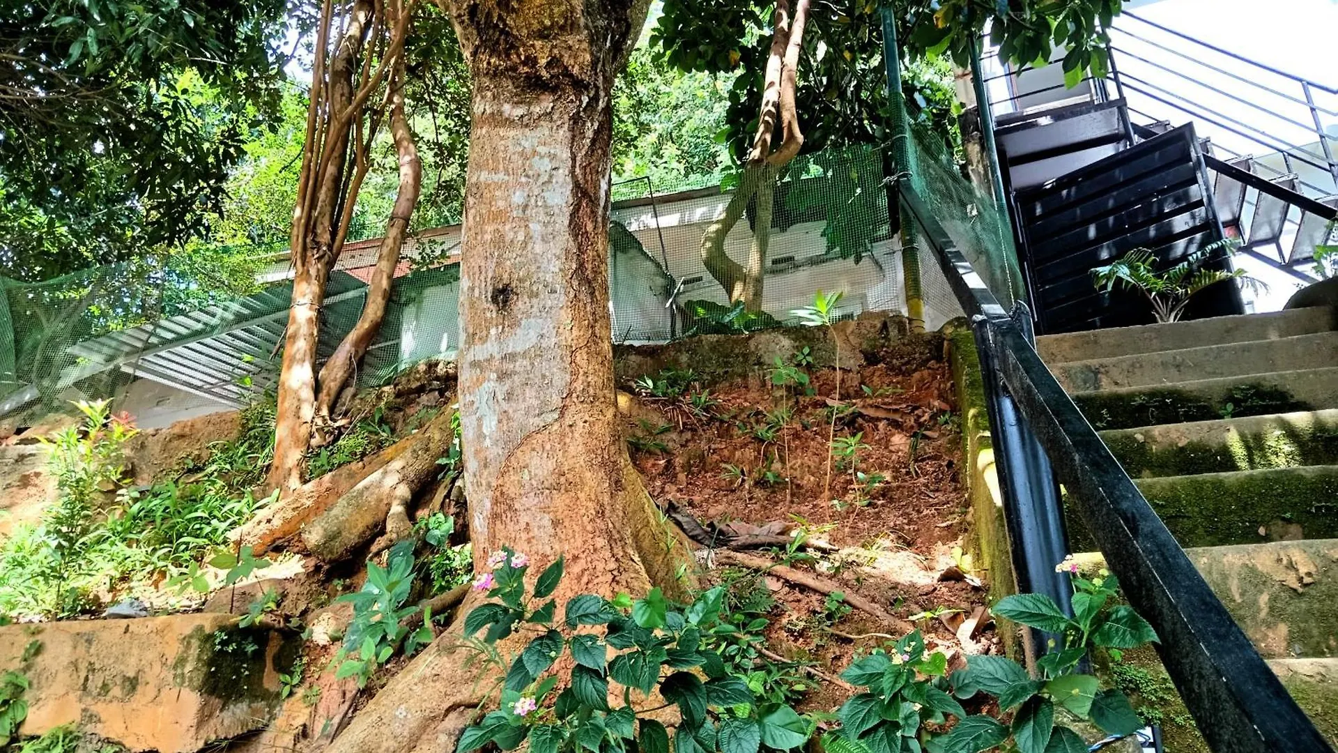 Fly Infinity - Home Stay Kandy Sri Lanka