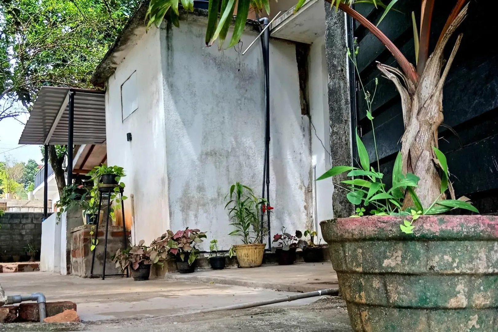 Fly Infinity - Home Stay Kandy Sri Lanka