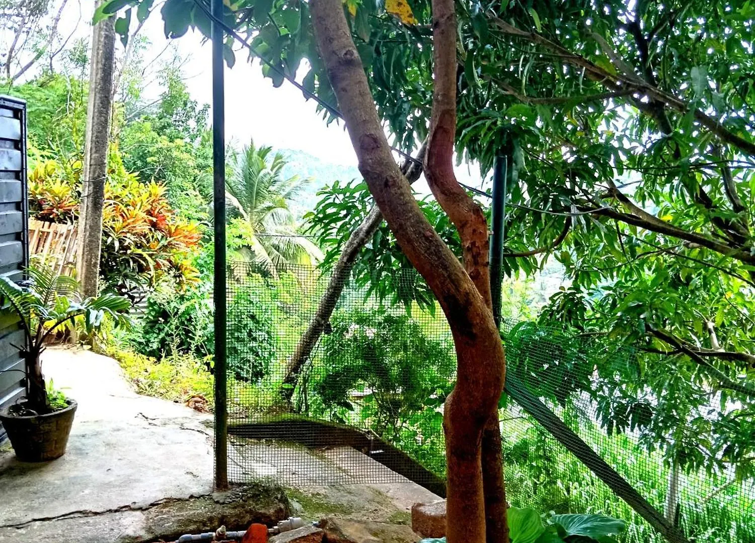 Homestay Fly Infinity - Home Stay Kandy Sri Lanka