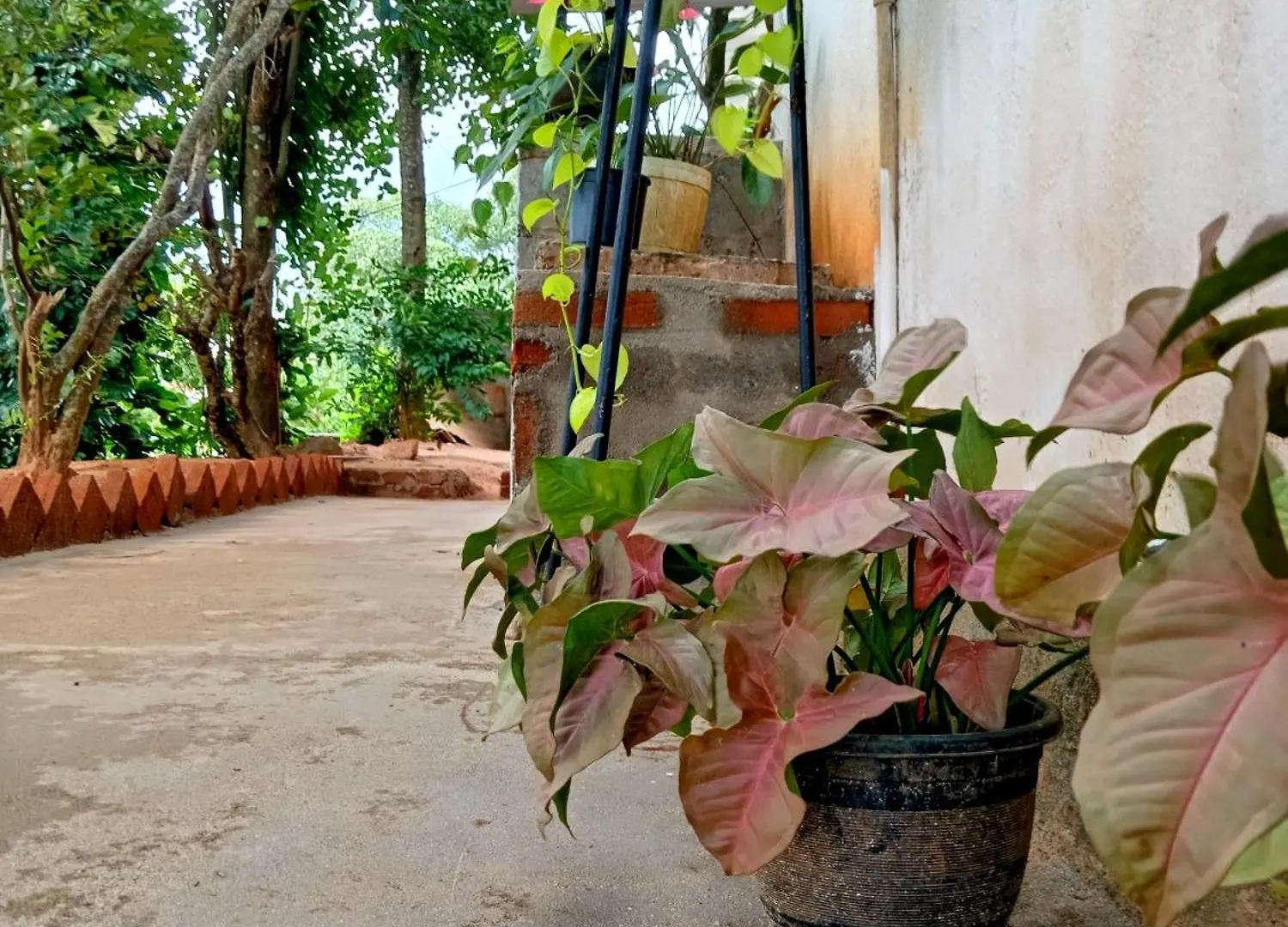 Fly Infinity - Home Stay Kandy