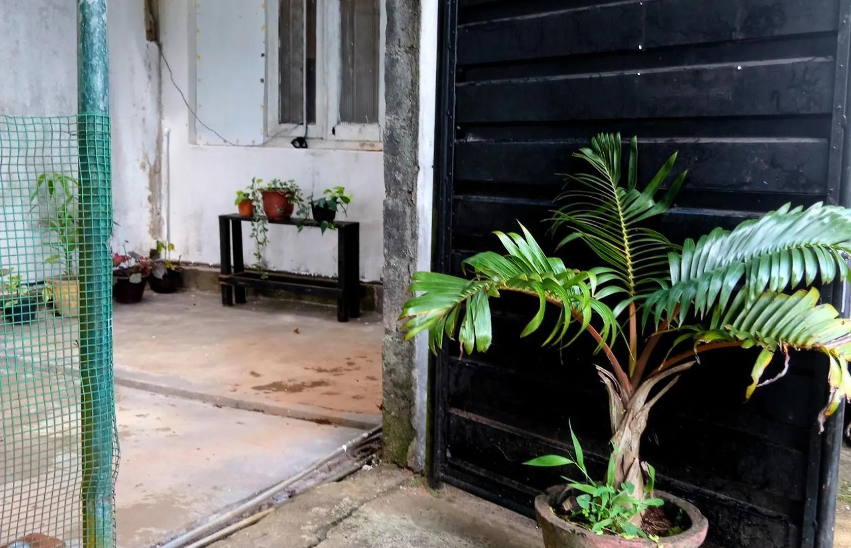 Homestay Fly Infinity - Home Stay Kandy