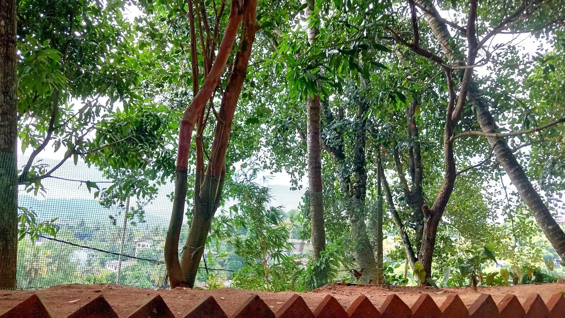 Fly Infinity - Home Stay Kandy 0*,  Sri Lanka