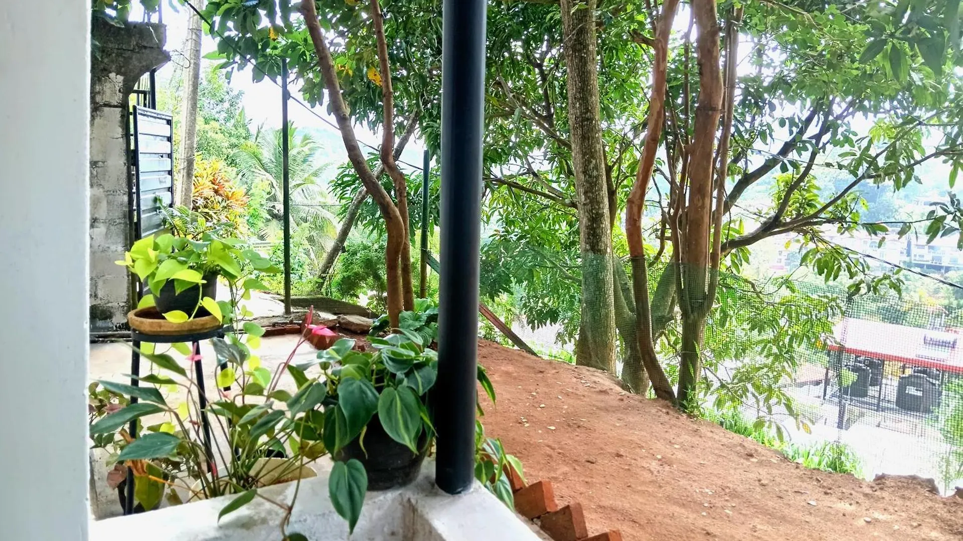 Fly Infinity - Home Stay Kandy Homestay