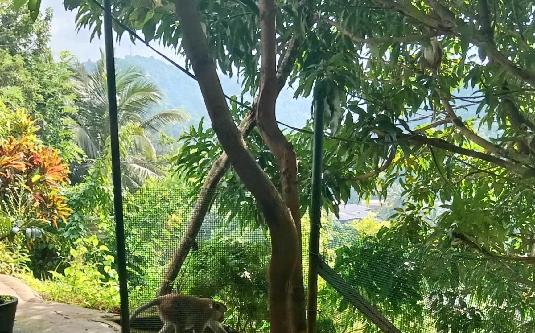 Fly Infinity - Home Stay Kandy